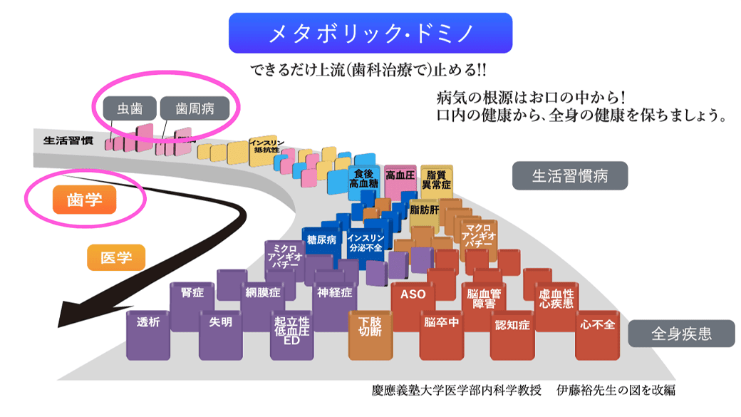 メタボリック・ドミノ