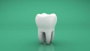 緑の背景の前に1本の歯の模型が置かれている